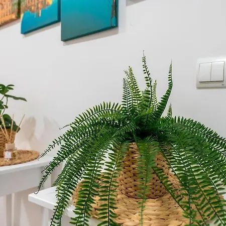 Apartment Chic In Heart Of Town